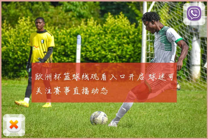 欧洲杯篮球线观看入口开启 球迷可关注赛事直播动态