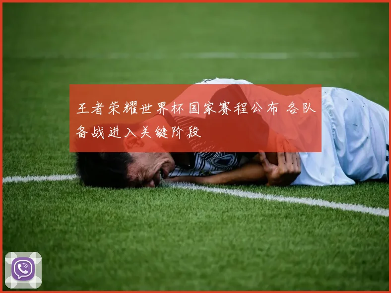 王者荣耀世界杯国家赛程公布 各队备战进入关键阶段